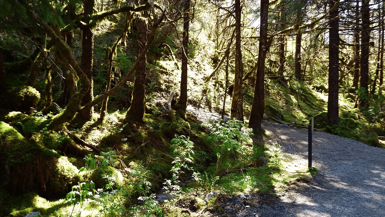 Trails